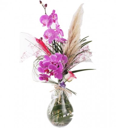 Şeffaf Dekoratif Cam için Pembe Orkide