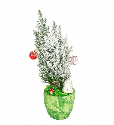 Green Leave Çam Tasarım