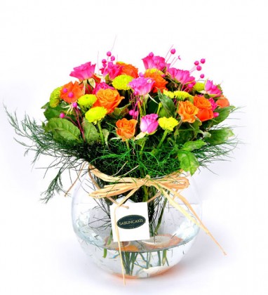 Wonderful Colorful Roses