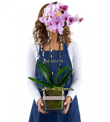 Kare Vazoda Pembe Orkide