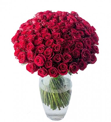 100 Red Roses 