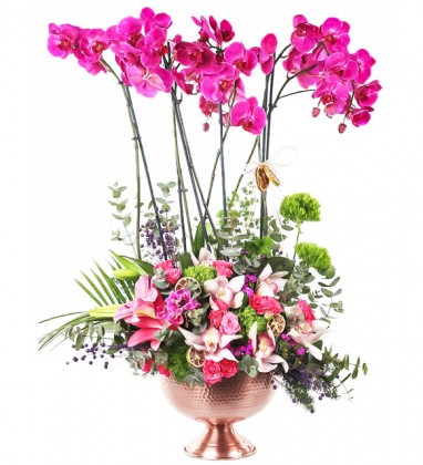 Premium Mor Orkide Taze Çiçekler 