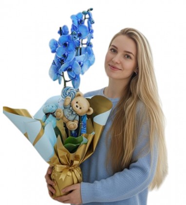 Blue Spirit Mavi Orkide