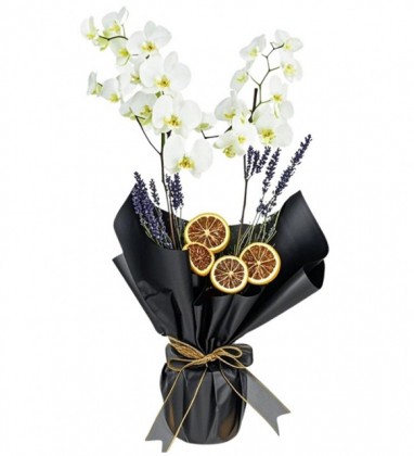 Black Premium 2 Dal Beyaz Orkide