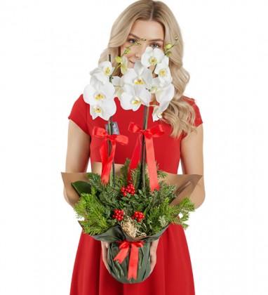  Yeni Yıl Konseptli Orkide ve Kokinalar
