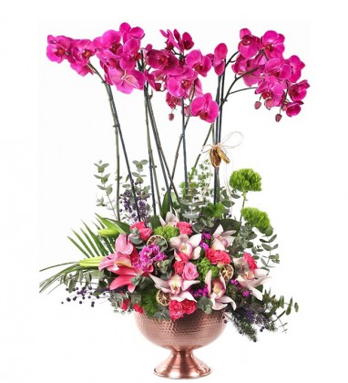 Premium Mor Orkide Aranjmanı