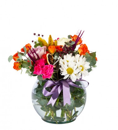 Akvaryumda Renkli Güller