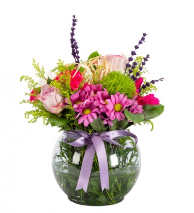 Lila Pembe Güller Ve Papatya