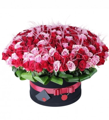 Dev Siyah Kutuda 350 Pembe Kırmızı Gül 