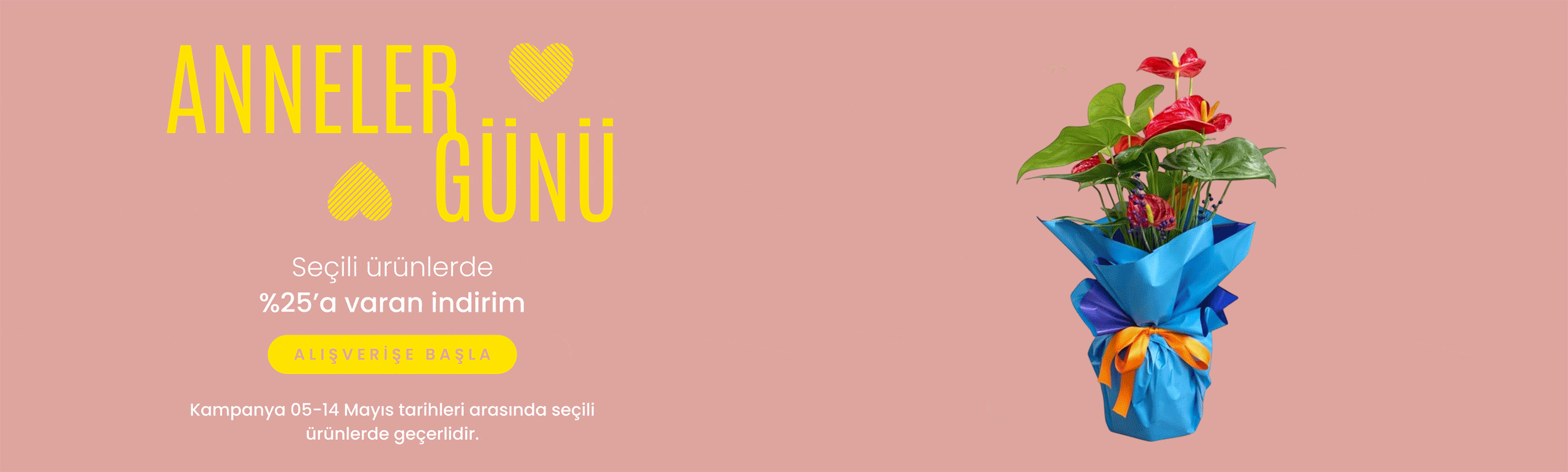 Sabuncakis Çiçek 1874 Resmi Web Sitesi